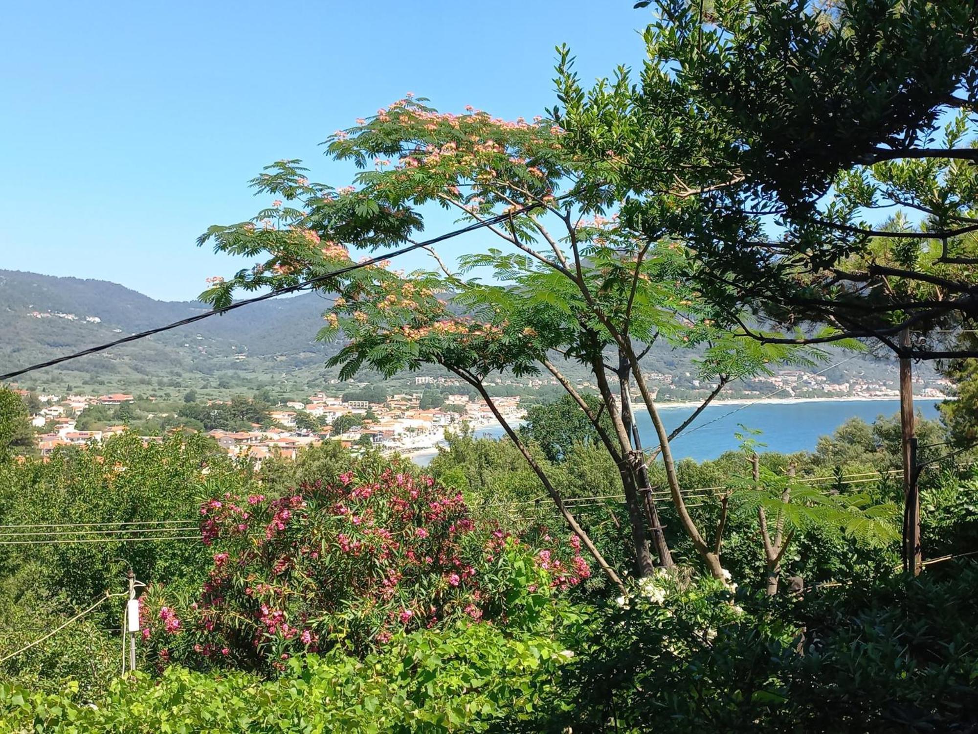 Villa Dimitra 스칼라 포타미아스 외부 사진