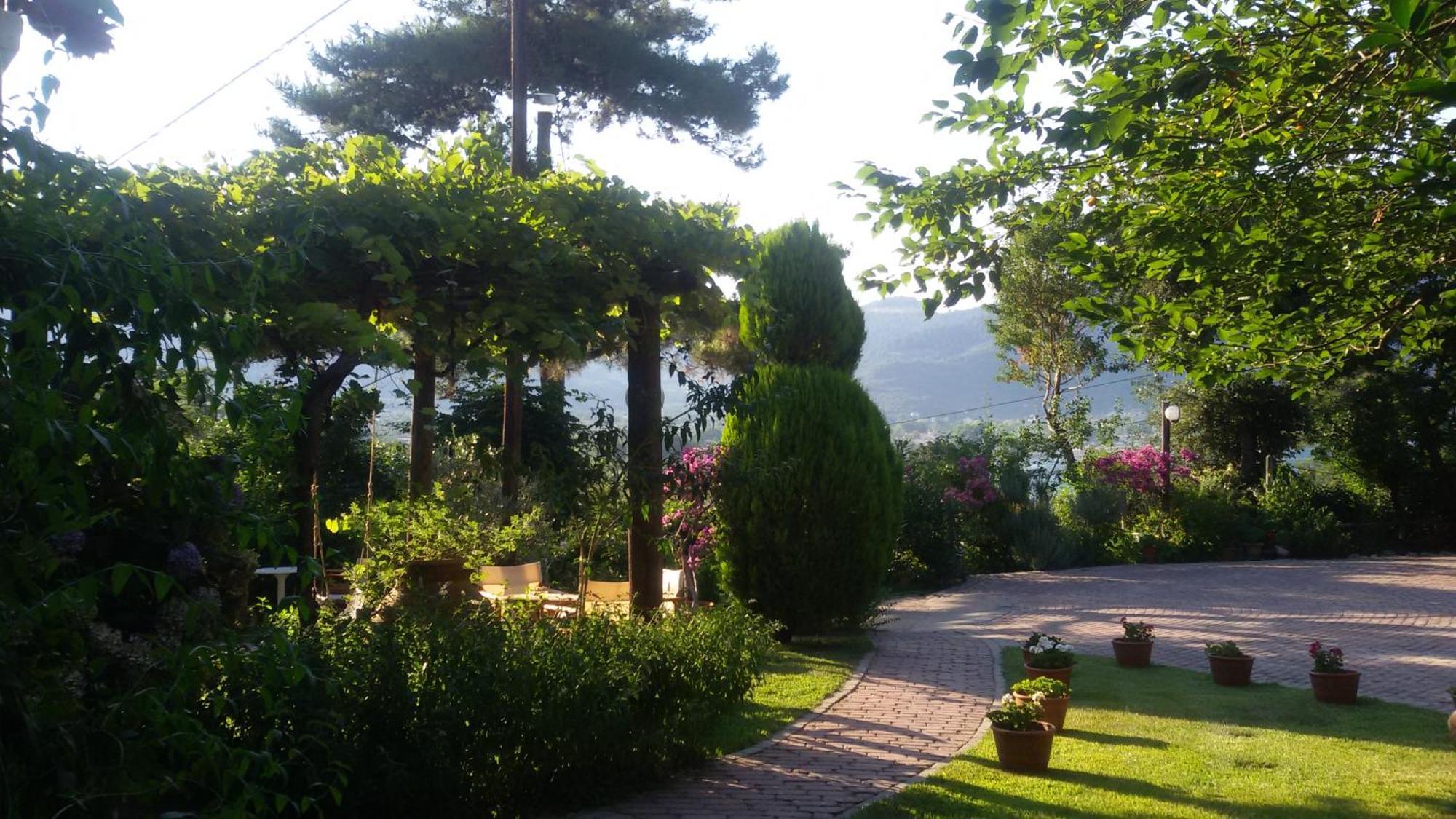 Villa Dimitra 스칼라 포타미아스 외부 사진